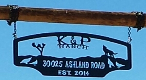 ranch entry sign coyote yucca address